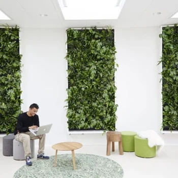 استفاده از دیوار سبز در محیط استراحت فضای کار